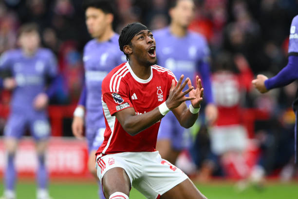 他们必将在 他们必将在